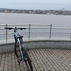 Горный велосипед STINGER ELEMENT EVO SE 26" красный с рамой 18"